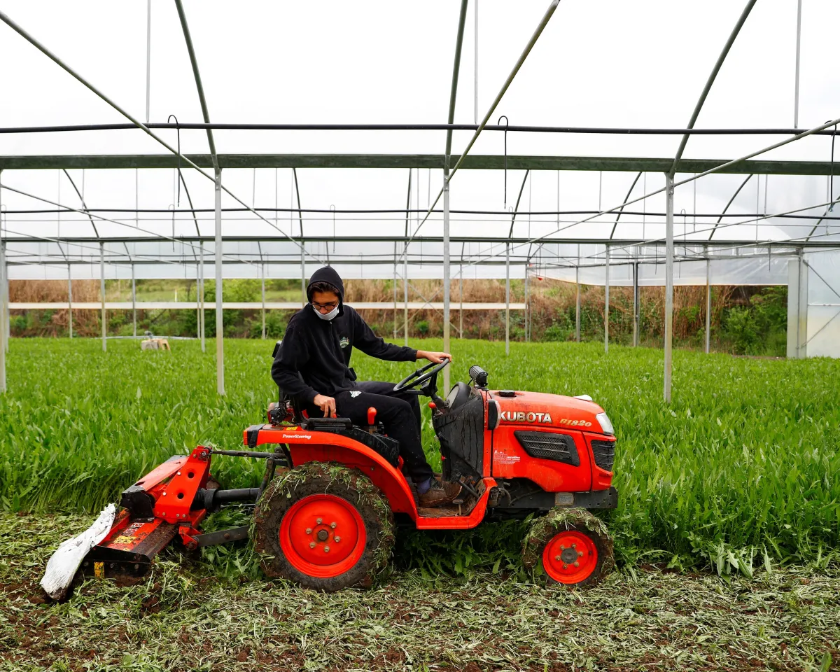 A photo showing an employee of an agricultural company destroying vegetables — since the company has not been able to sell kilos of its products due to the COVID-19 pandemic — in Sant'Angelo Romano, Italy on April 22, 2020.