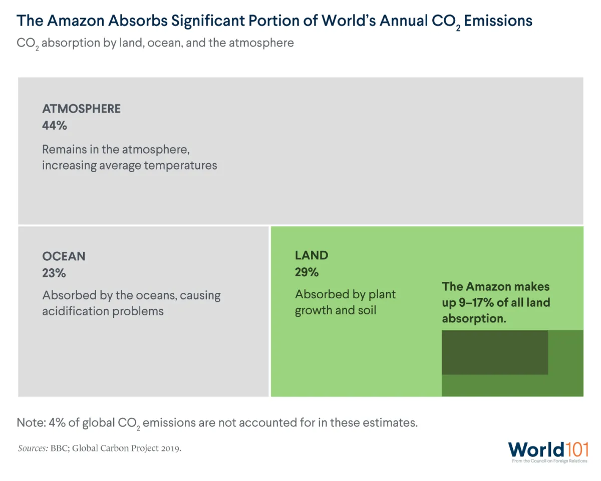 A chart showing that Amazon makes up 9 to 17 percent of all land absorption of the world's annual carbon dioxide emissions ,according to the BBC and Global Carbon Project, as of 2019. For more info contact us at world101@cfr.org.