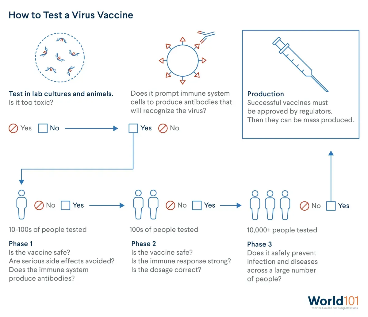 Graphic showing the different steps scientists take in order to test vaccines to make sure they're both safe and effective. For more info contact us at world101@cfr.org.