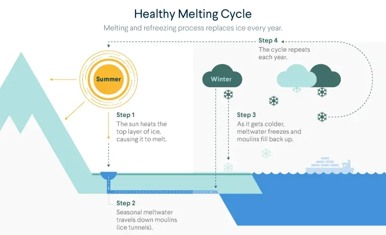 Diagram of a healthy melting cycle where snow and ice melts in the summer season but then freezes again in the winter.