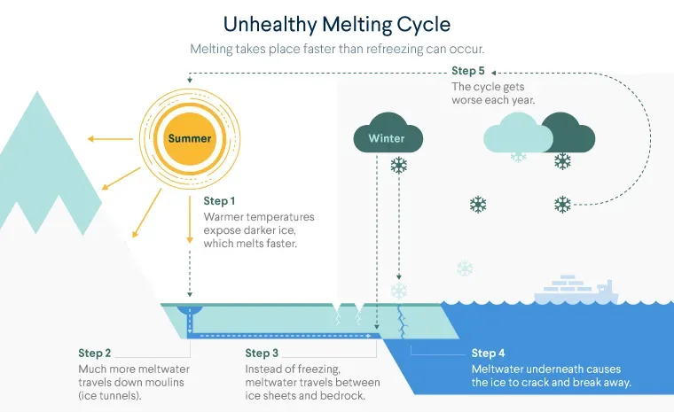 Diagram of an unhealthy melting cycle, where snow and ice melts in the summer season but not all of it freezes again in the winter. For more info contact us at world101@cfr.org.
