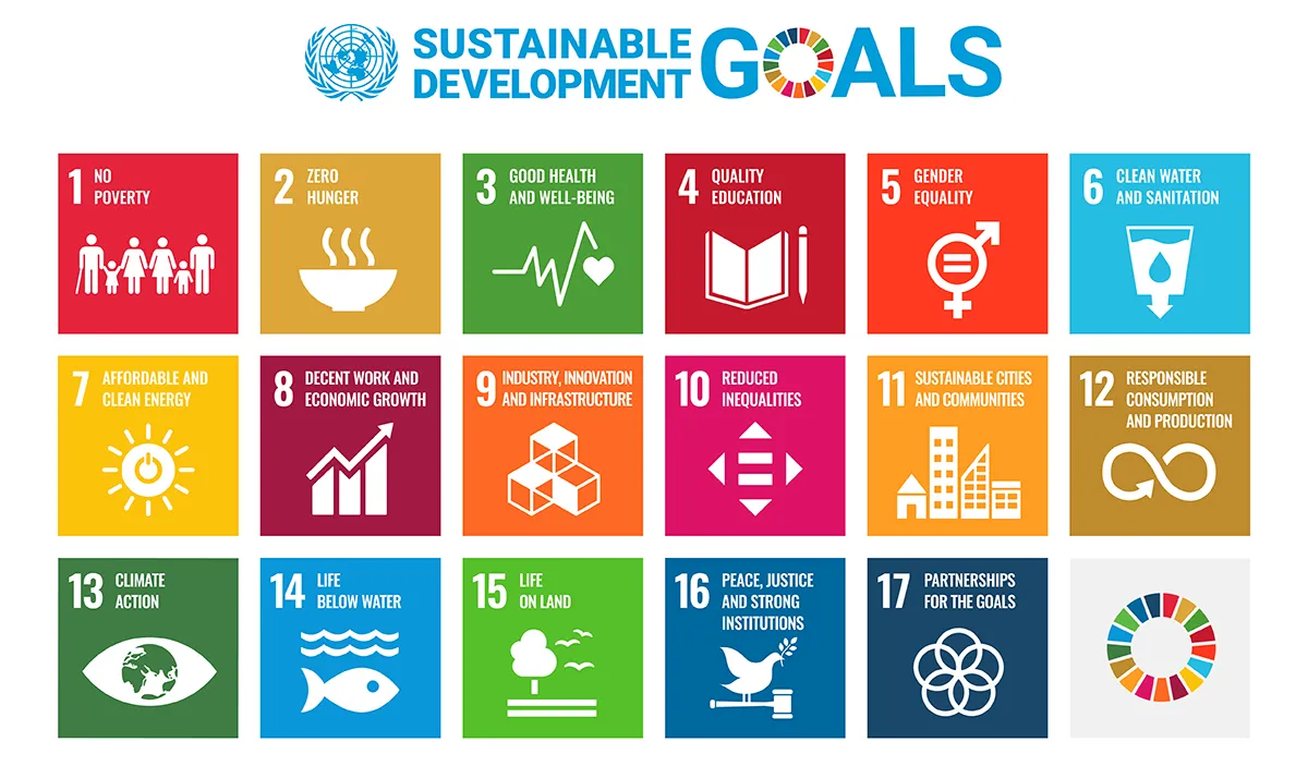 17 icons for the UN SDGs